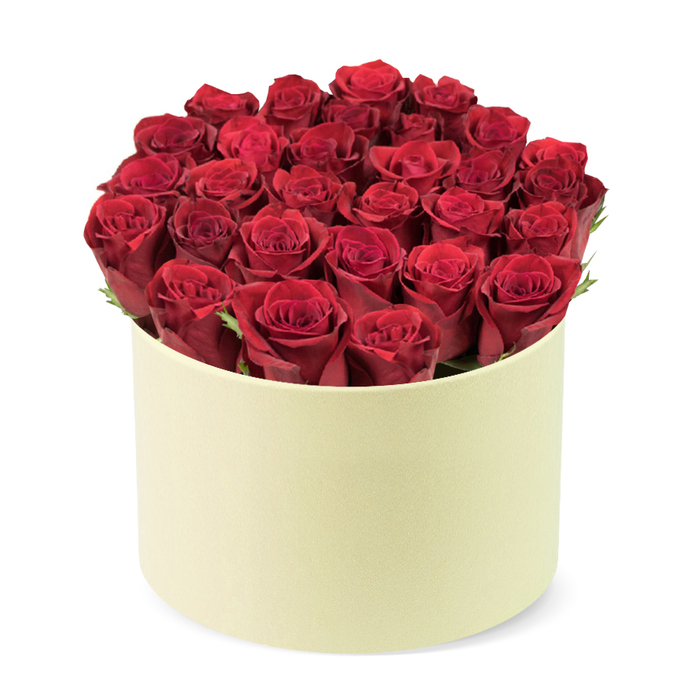 A stunning, high-quality arrangement featuring roughly two dozen deeply rich, velvety red roses, meticulously arranged to fill a round, elegant cylindrical box. Each rose displays tightly furled petals in a luxurious dark crimson, with some buds hinting at a sculpted spiral as they begin to open. Subtle hints of dark green foliage peek between the heads, adding a natural, refreshing contrast to the sea of red. The container is a smooth, creamy ivory box with a matte finish, its soft tone providing a perfect backdrop that makes the roses pop with depth and vibrancy. The entire scene is set against a pristine white background, emphasizing the bouquet as a premium gift for romance, celebration, or heartfelt thanks. The bouquet's hand-tied precision, the disciplined dome shape, and the gentle interplay of color and texture speak to a high level of floral artistry, ideal for luxury flower delivery or special occasions like Valentine's Day, anniversaries, or significant birthdays. This elegant design embodies quiet sophistication and enduring charm, crafted by a South Hornchurch florist for discerning recipients.