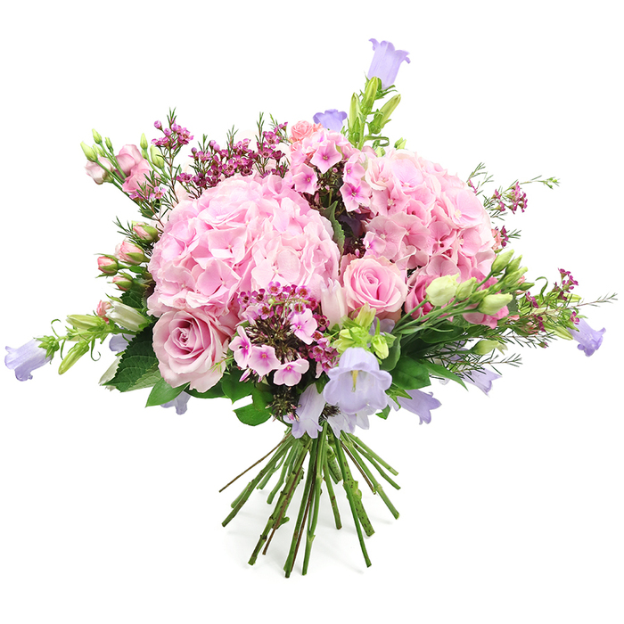 A softly radiant bouquet of pink and lavender blooms stands out vividly against a pristine white background, every flower placed with the care of an experienced local florist. Dominating the arrangement are generous clusters of blush pink hydrangeas, their rounded heads composed of countless small, ruffled petals that create a plush, cloud-like texture, instantly drawing the eye. Around and between these hydrangeas, light pink roses introduce a classic romantic element; some are tightly furled buds with neat, pointed tips, while others are fully open, revealing intricate spirals of velvety petals that unfold gracefully toward the light. Adding an airy counterpoint, slender stems of bell-shaped flowers in pastel lavender and muted purple-similar to campanula-rise from the bouquet, their delicate blooms nodding gently and giving the design a sense of height and gentle movement, reminiscent of flowers growing wild near South Hornchurch Country Park. Scattered throughout are smaller tufts of fuchsia and deep pink filler flowers, akin to waxflower or tiny phlox, whose clustered blossoms bring bright pops of colour and intricate texture that enrich the overall composition without overwhelming the soft palette. The blossoms are framed and supported by fresh green foliage, with glossy leaves and emerging buds providing contrast and a sense of just-cut freshness, as though they've come straight from a nearby market off Rainham Road. At the bottom, the stems are clearly visible, neatly aligned, and bound together in a traditional hand-tied style that keeps the bouquet full and rounded, ready to slip into a favourite vase at home. This arrangement radiates joy, affection, and understated elegance, perfectly suited to birthdays, anniversaries, Mother's Day surprises, or simply brightening a South Hornchurch living room with a gentle touch of seasonal colour.